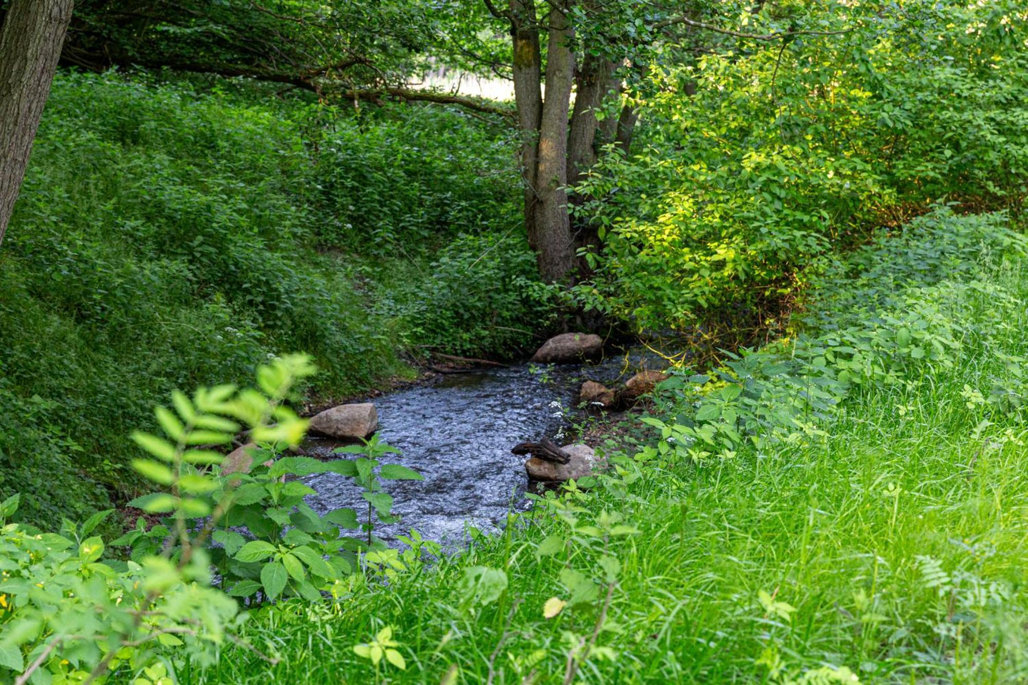 Wellnessparadies Mit Sauna Und Whirlpool Wiesenblick