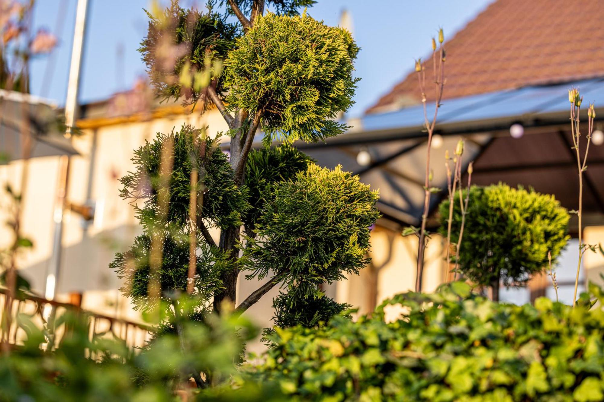 Wellnessparadies Mit Sauna Und Whirlpool Wiesenblick * Krakow am See